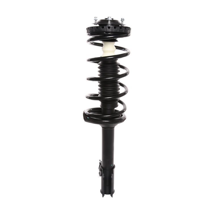 Strut Assembly