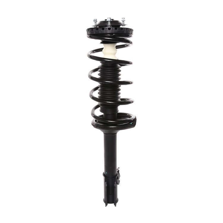 Strut Assembly