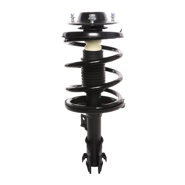 Strut Assembly