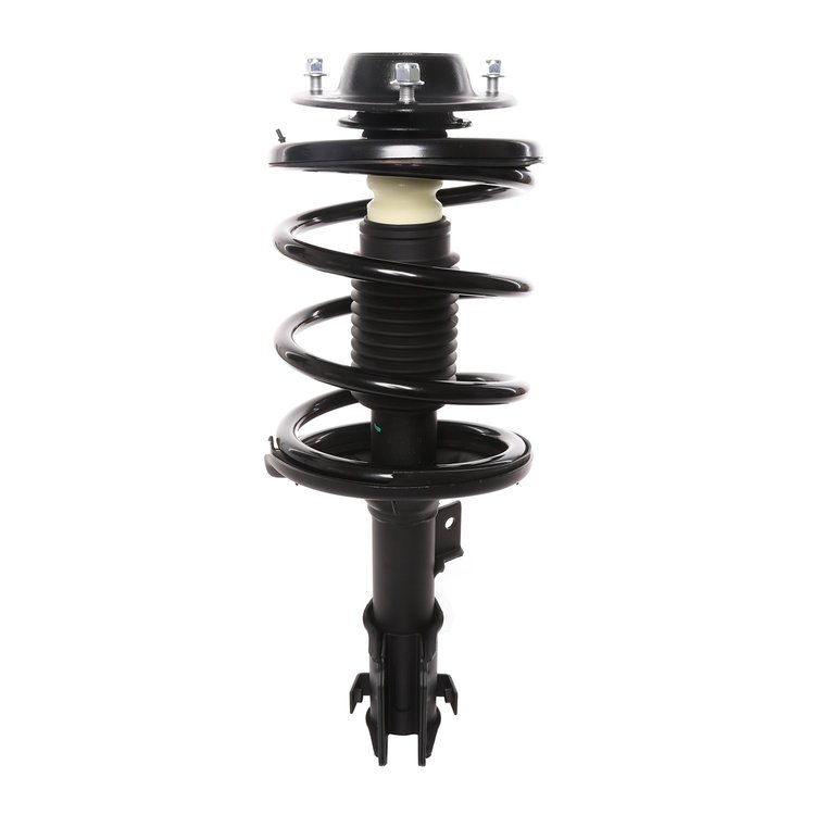 Strut Assembly
