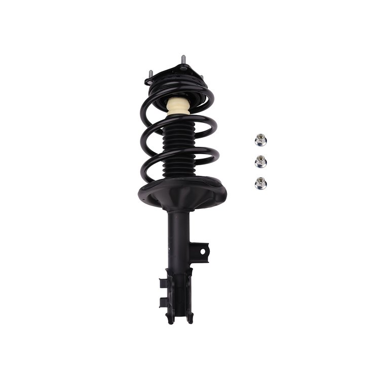 Strut Assembly