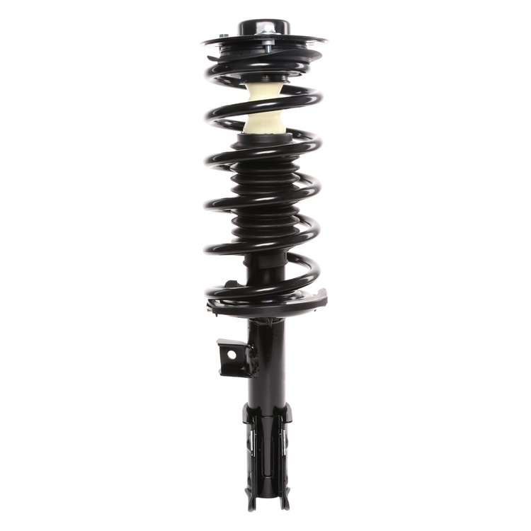 Strut Assembly