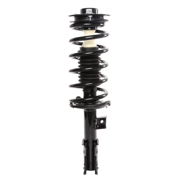 Strut Assembly