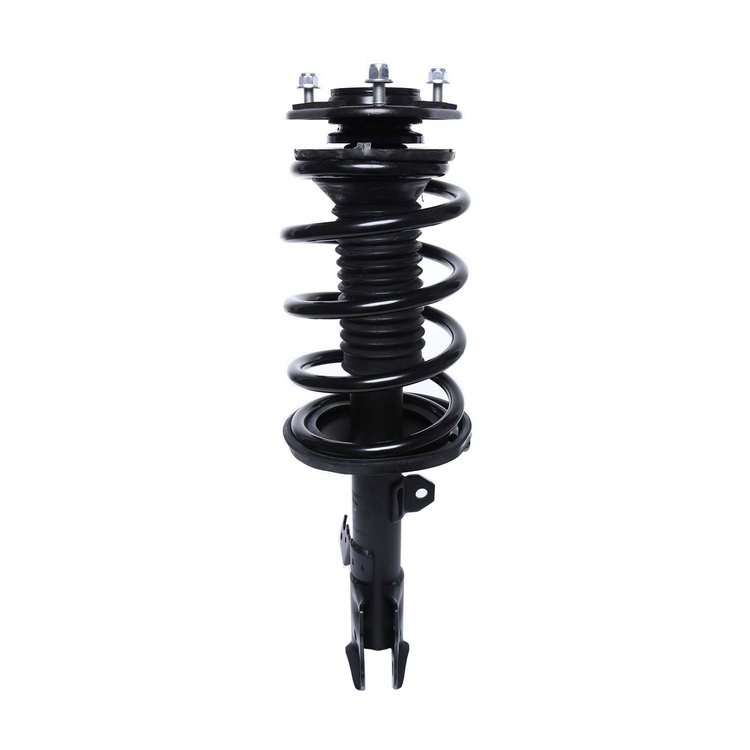 Strut Assembly