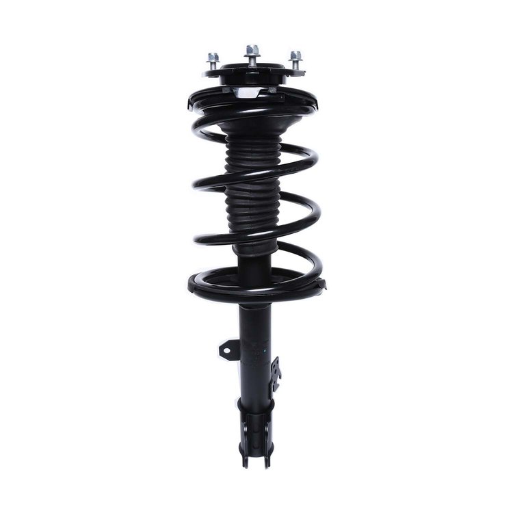 Strut Assembly