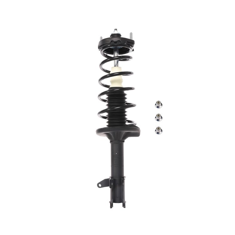 Strut Assembly