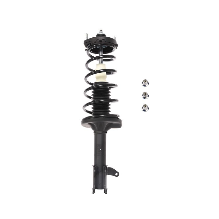 Strut Assembly