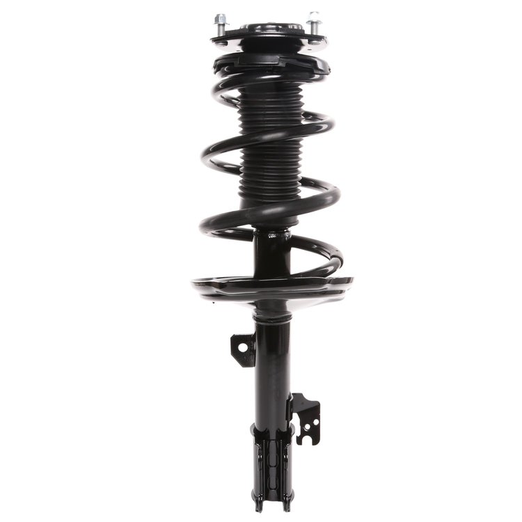 Strut Assembly
