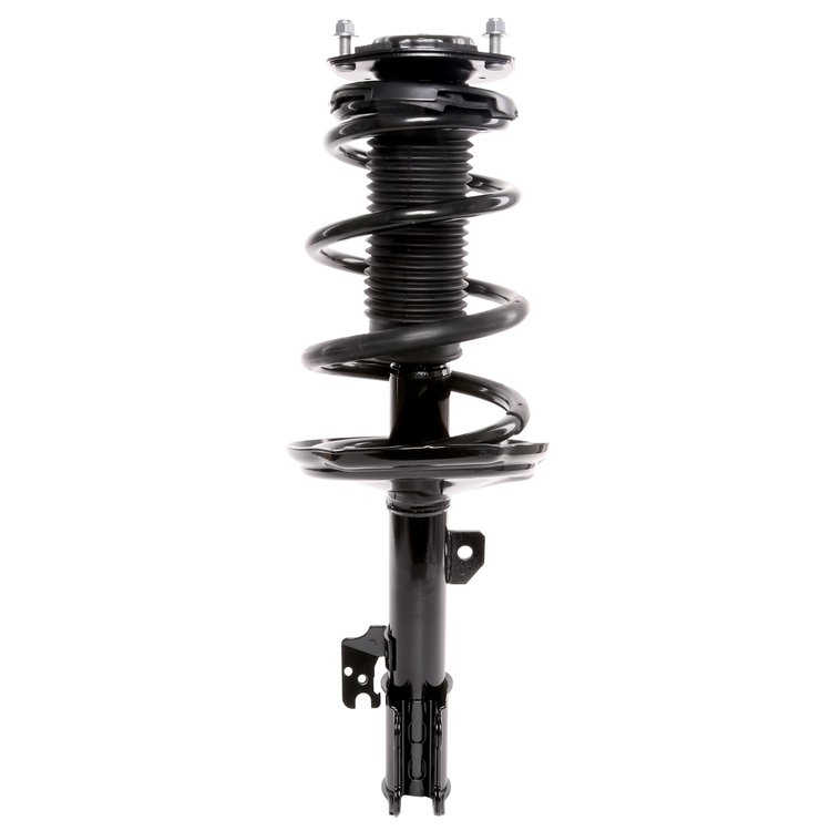 Strut Assembly