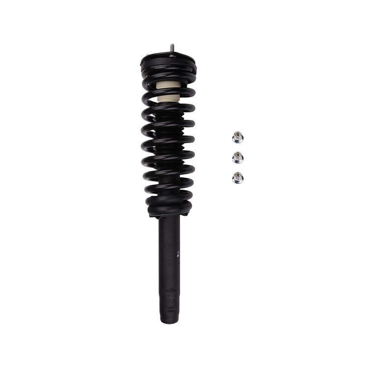 Strut Assembly