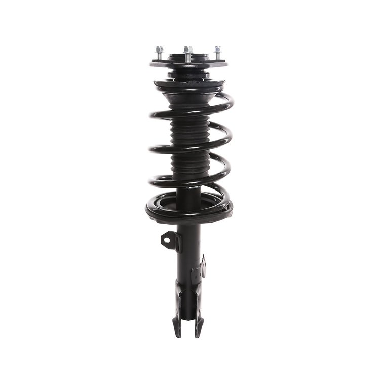 Strut Assembly