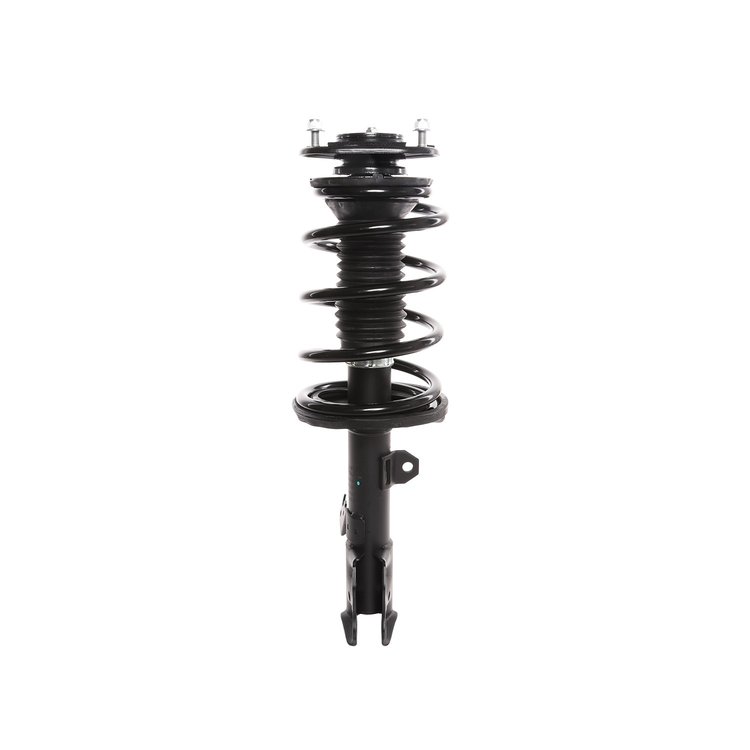 Strut Assembly