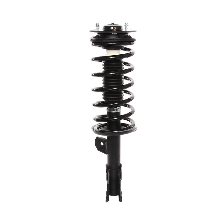 Strut Assembly