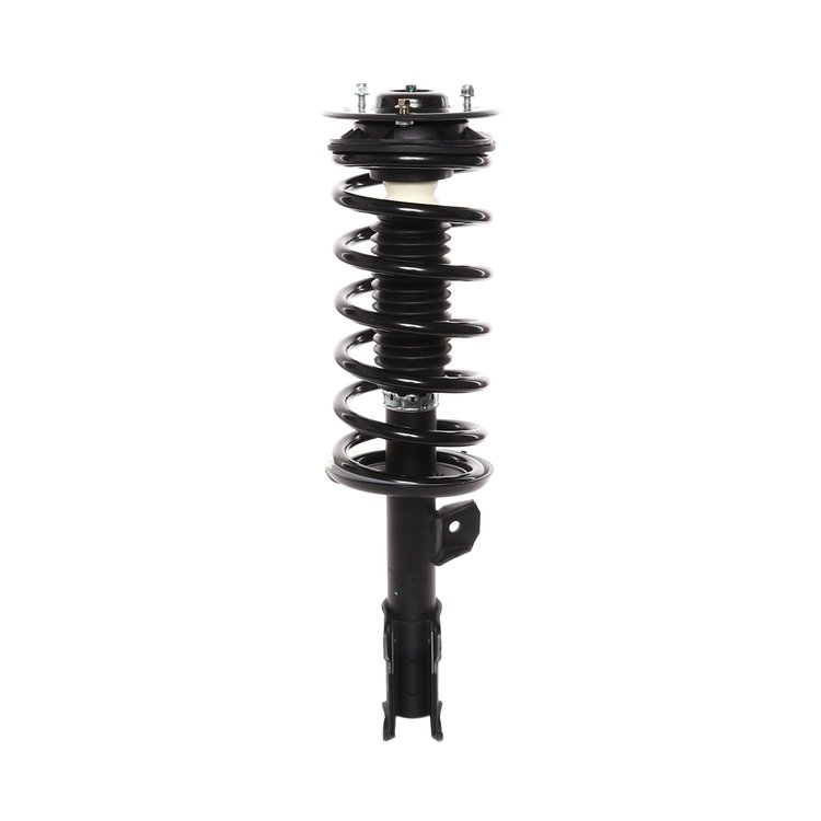 Strut Assembly