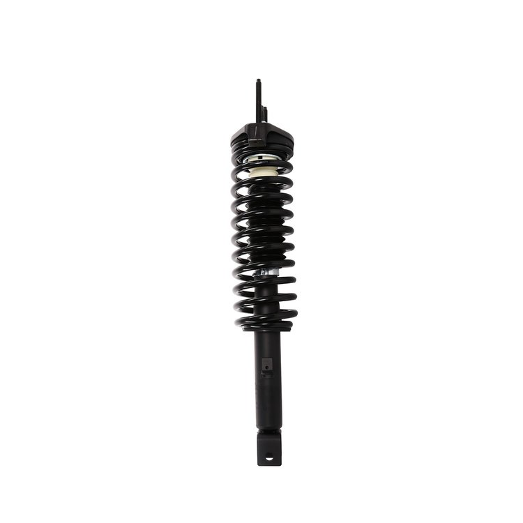 Strut Assembly