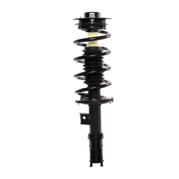 Strut Assembly