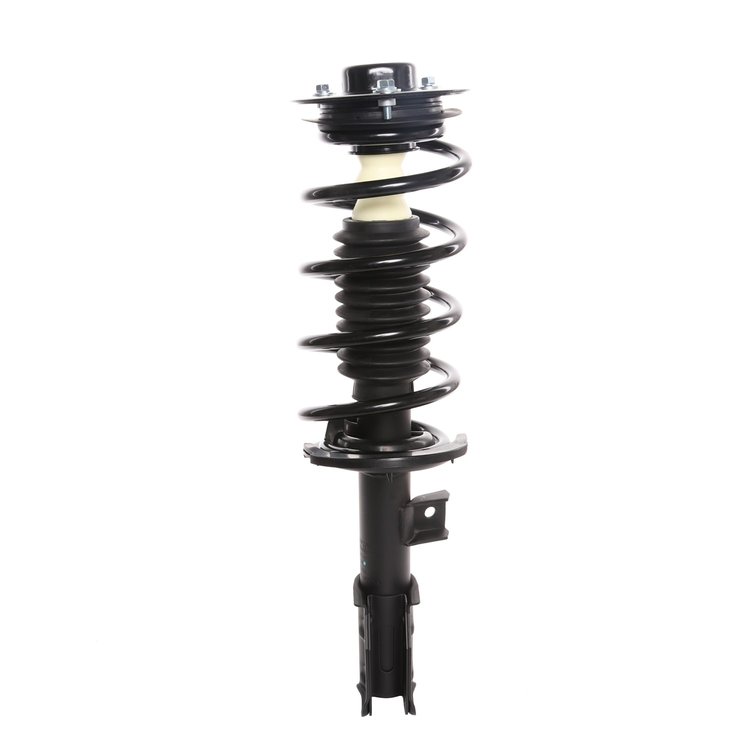 Strut Assembly