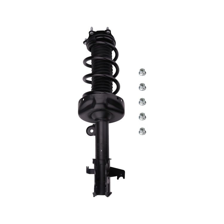 Strut Assembly