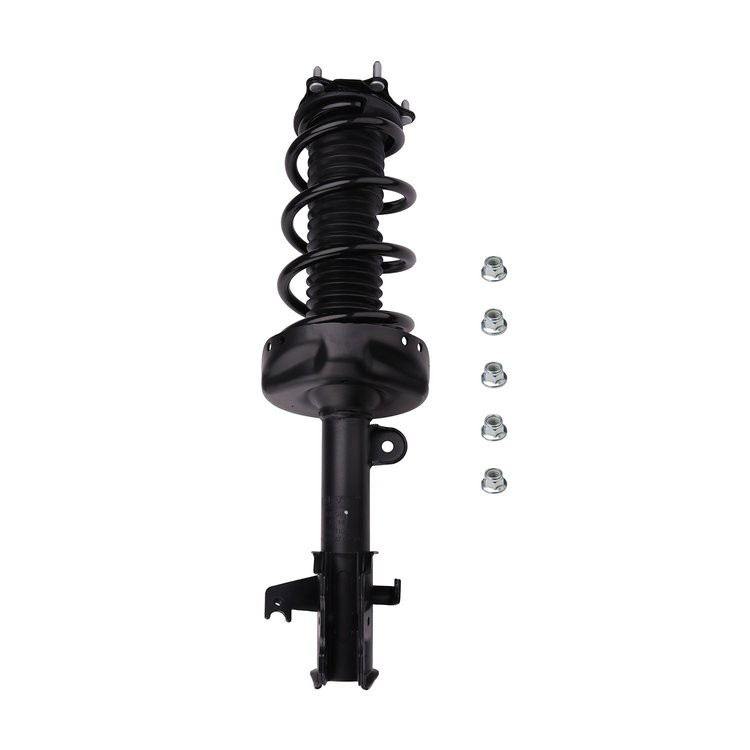 Strut Assembly