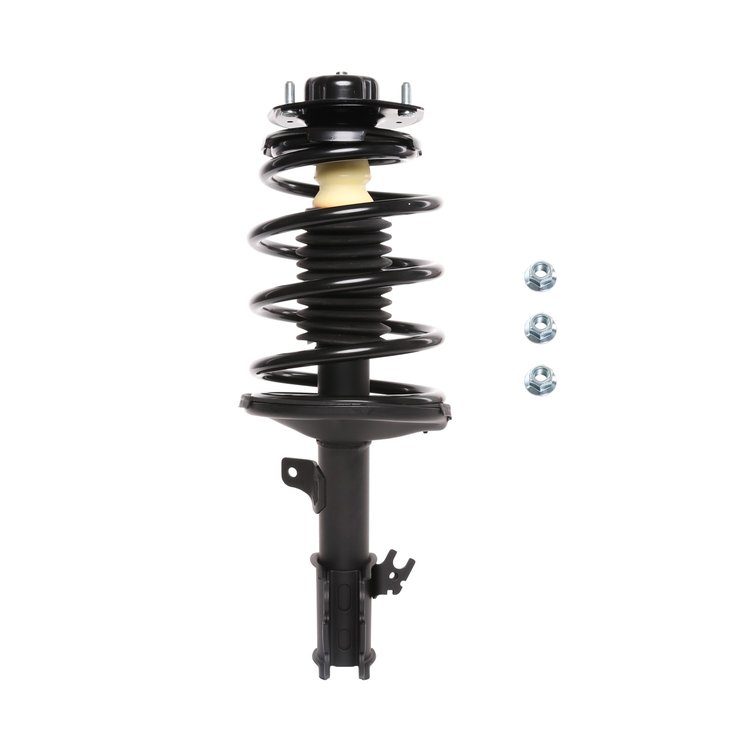 Strut Assembly