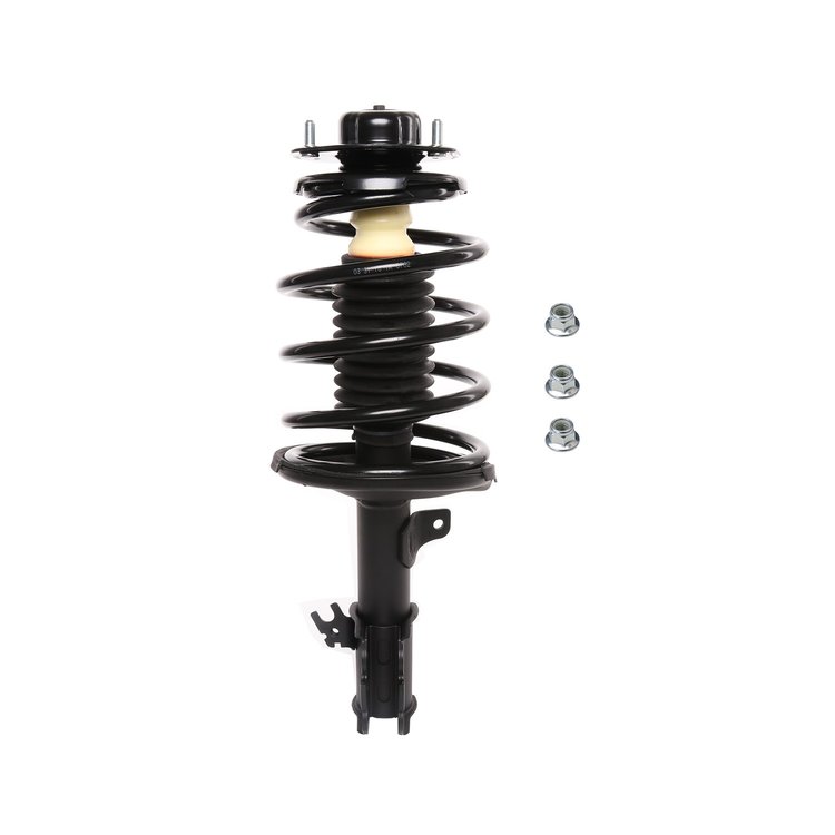Strut Assembly