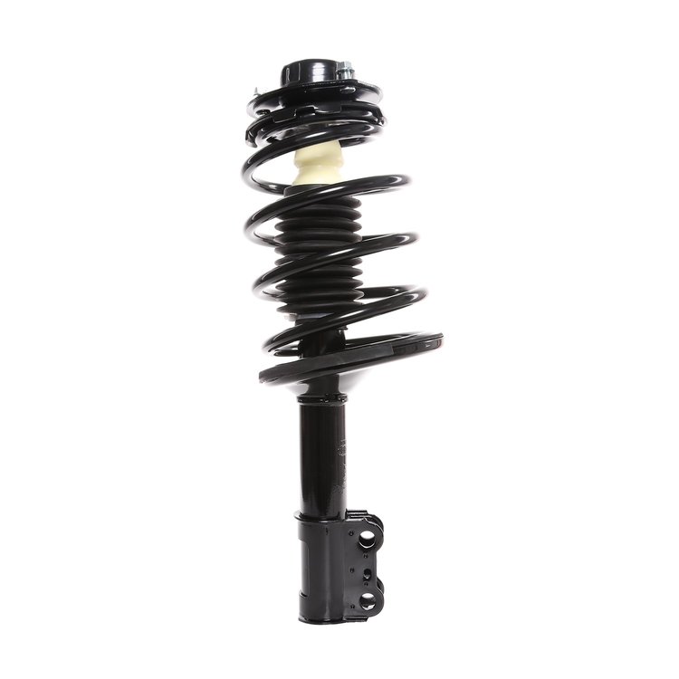 Strut Assembly