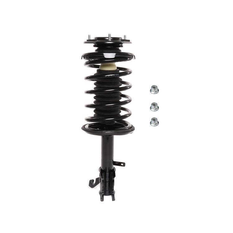 Strut Assembly