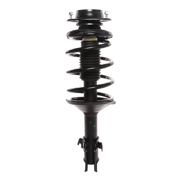 Strut Assembly