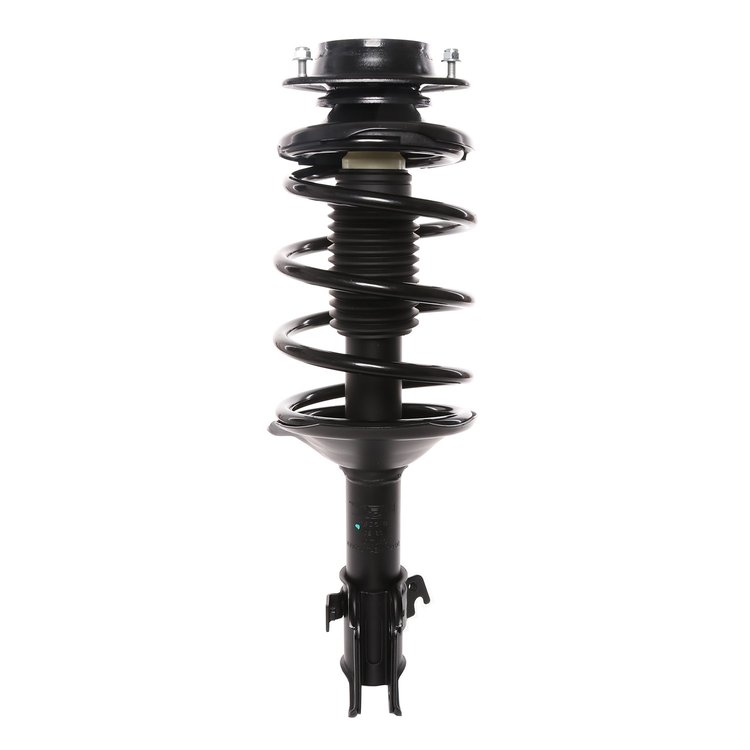 Strut Assembly