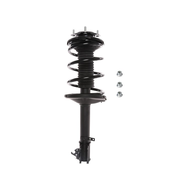 Strut Assembly