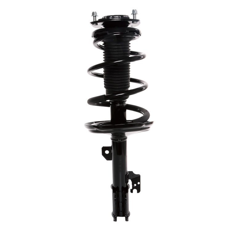 Strut Assembly