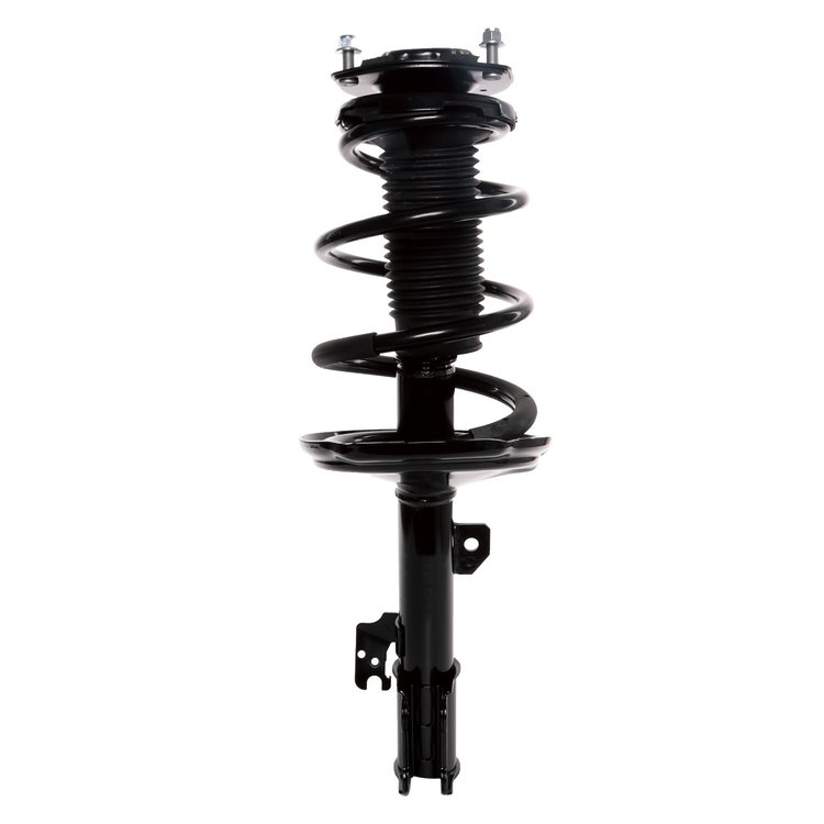 Strut Assembly