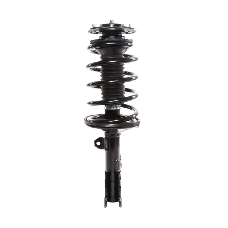 Strut Assembly