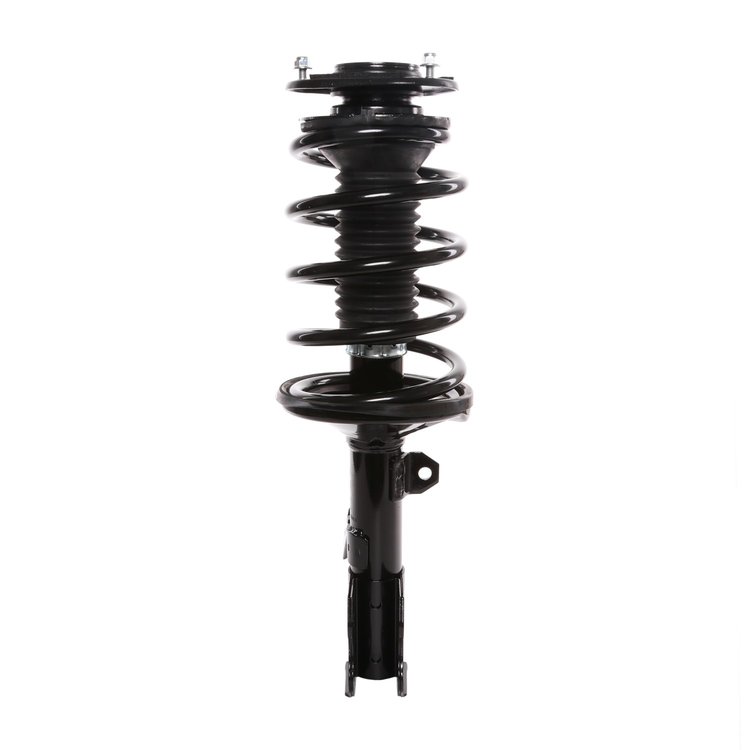 Strut Assembly