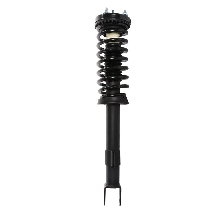 Strut Assembly