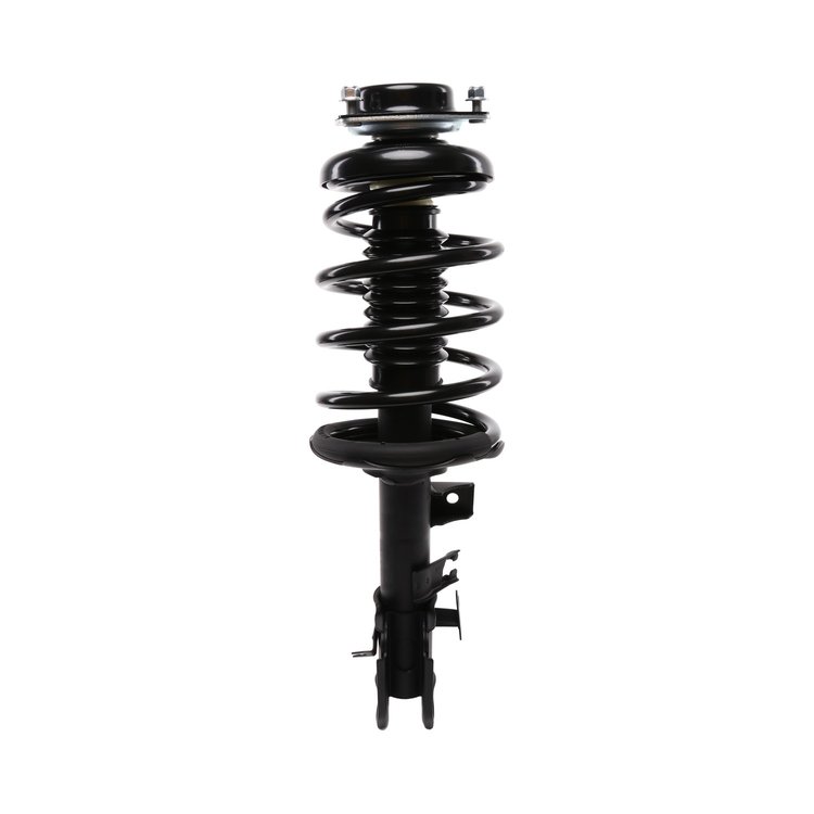 Strut Assembly