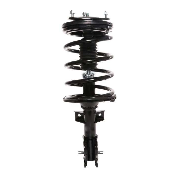 Strut Assembly