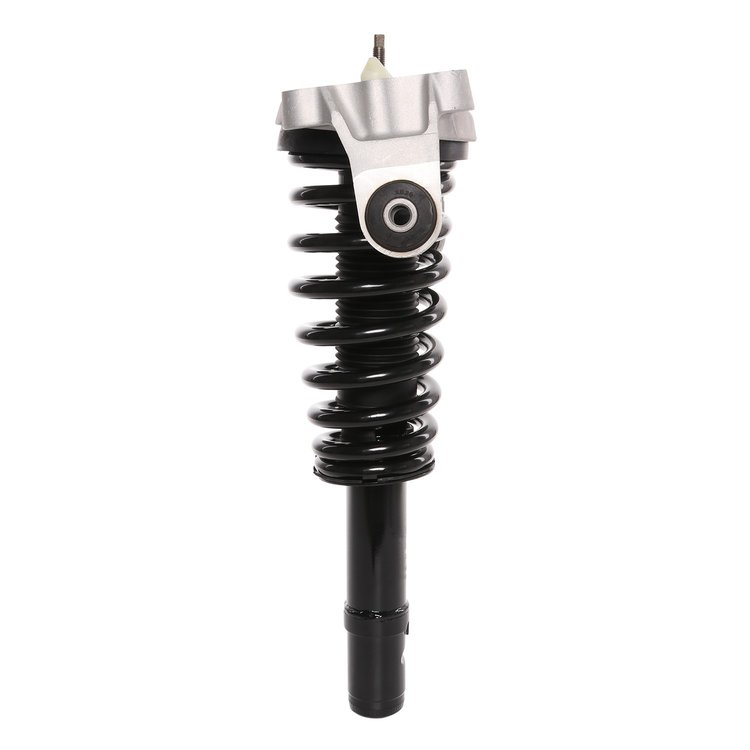 Strut Assembly
