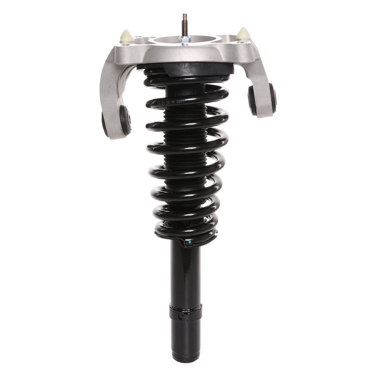 Strut Assembly