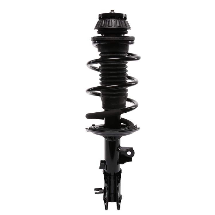 Strut Assembly
