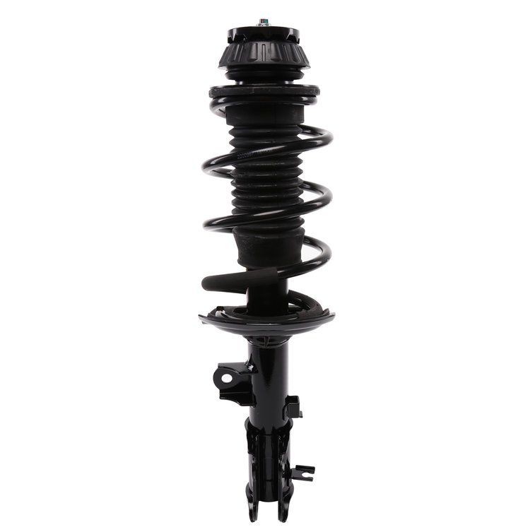 Strut Assembly