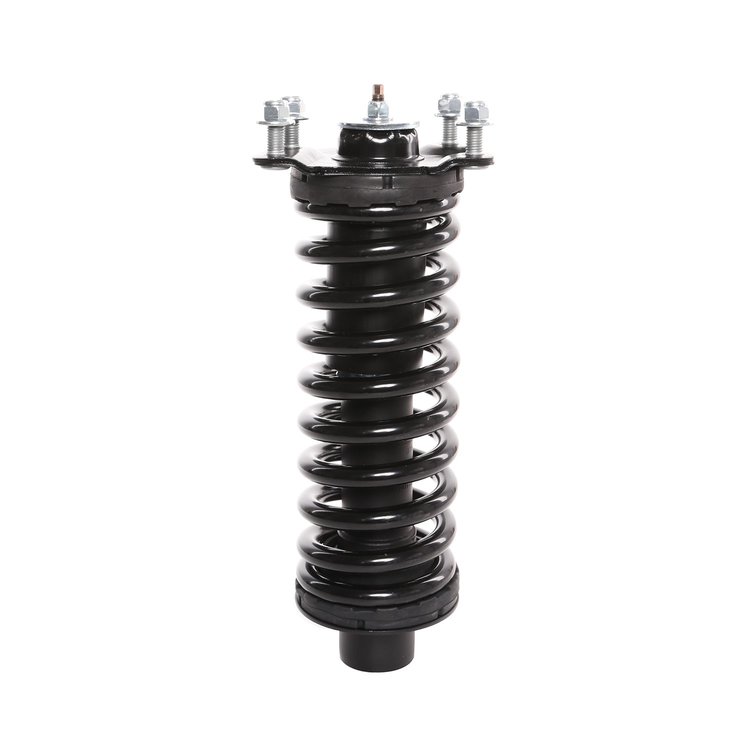Strut Assembly