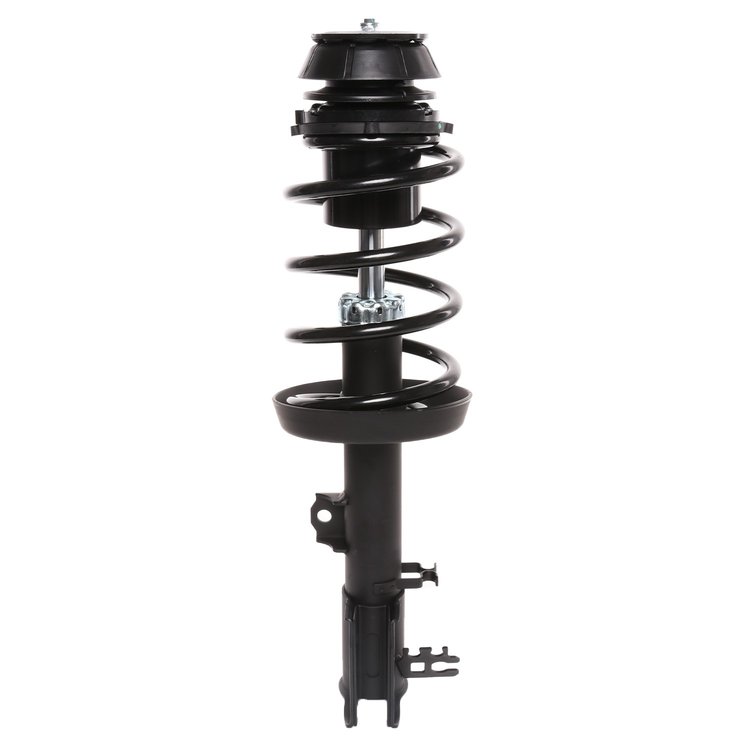 Strut Assembly