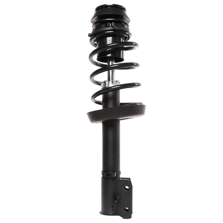 Strut Assembly