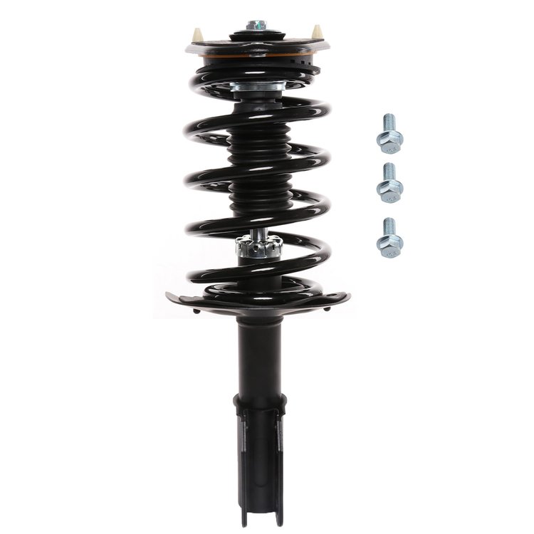 Strut Assembly