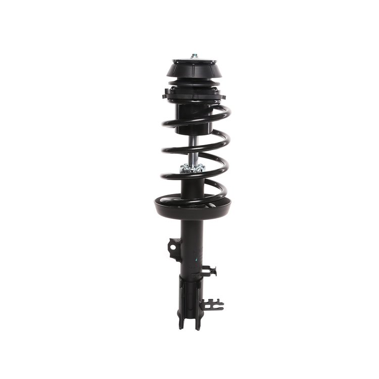 Strut Assembly