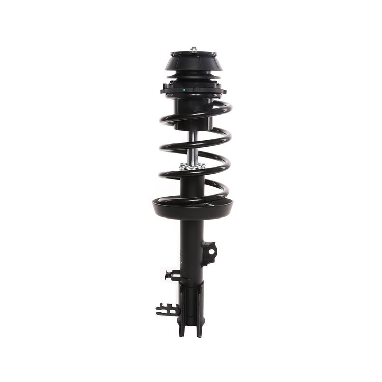 Strut Assembly