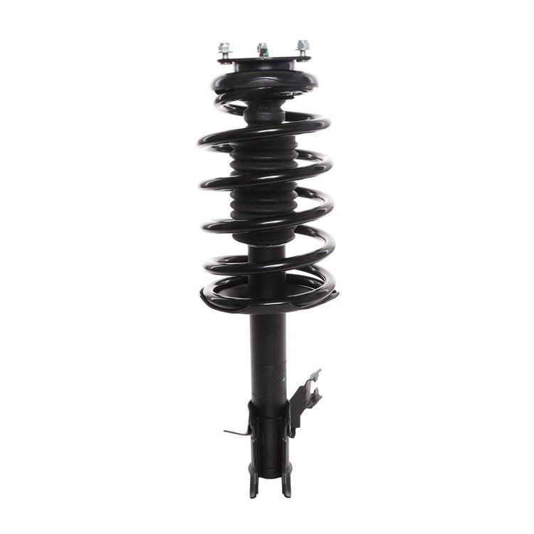 Strut Assembly