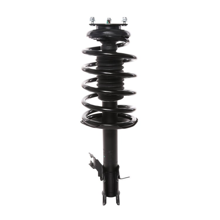 Strut Assembly