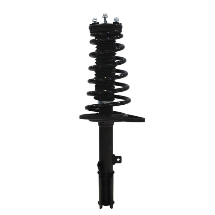 Strut Assembly